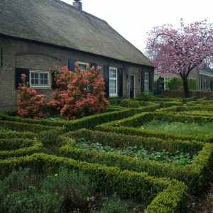 Voorjaar in Nederland